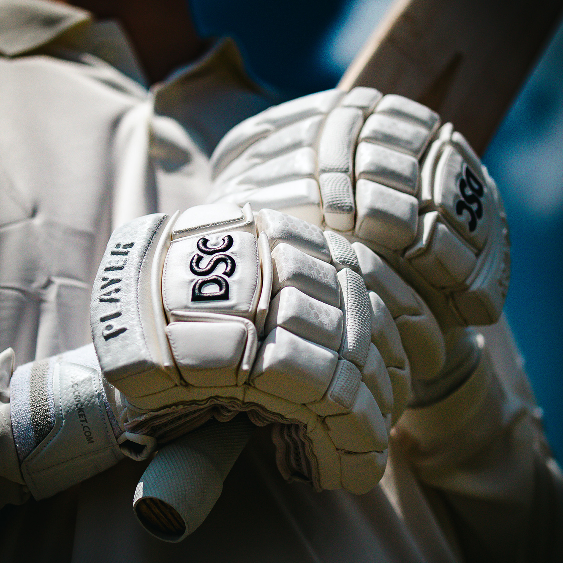 Gloves