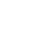 check-icon
