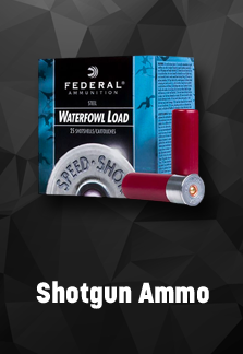 Shotgun Ammo