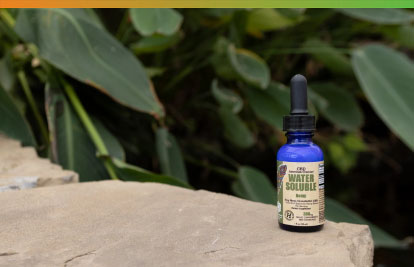 Find Relief with  CBD